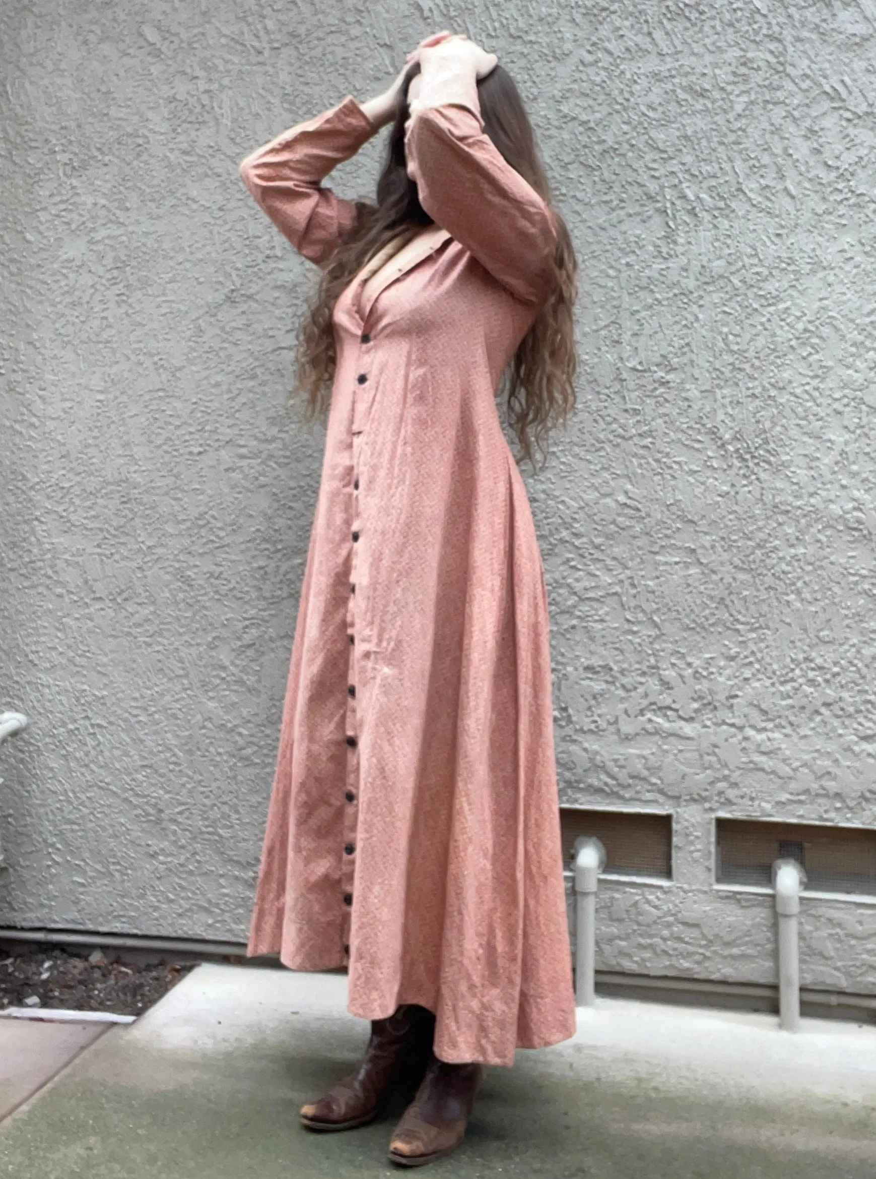 1870s Roller Print Cotton Prairie Dress