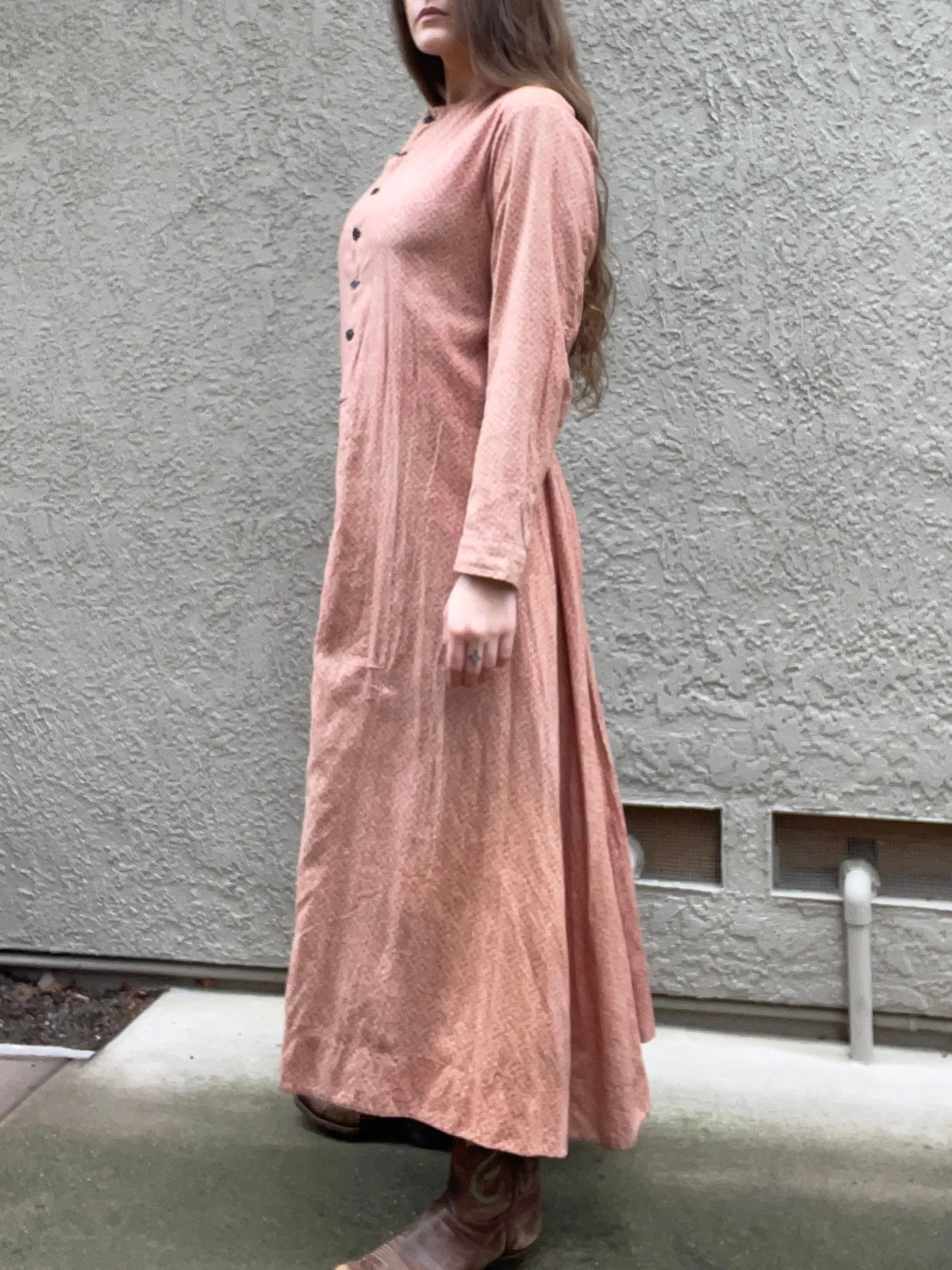 1870s Roller Print Cotton Prairie Dress