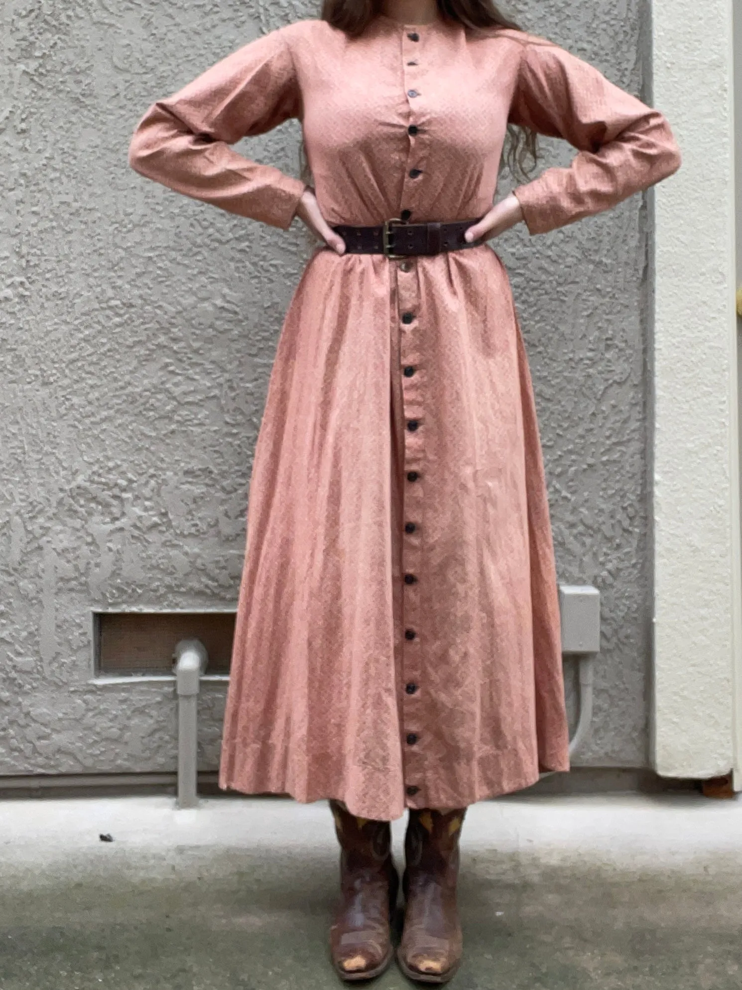 1870s Roller Print Cotton Prairie Dress