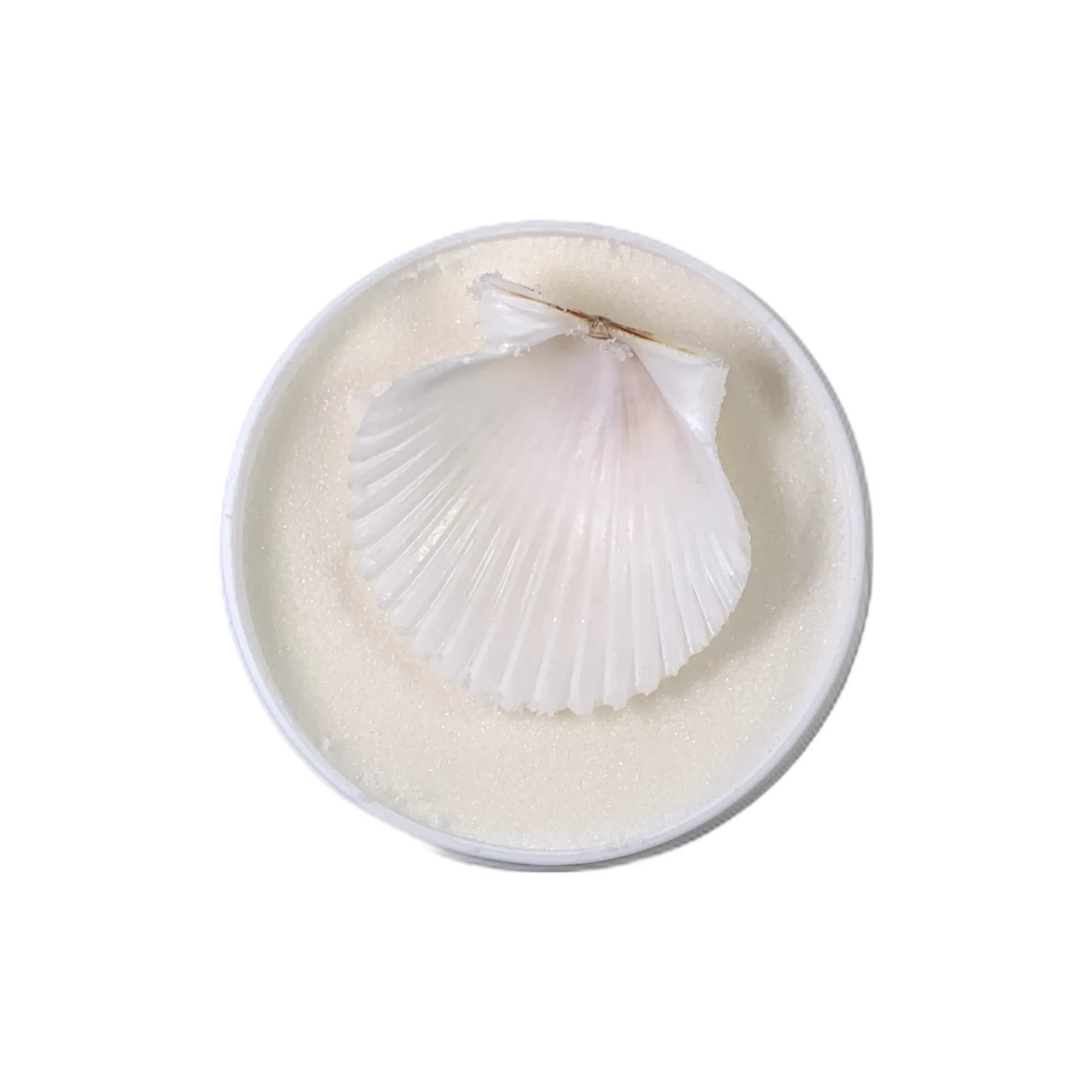 Almond Coconut Sugar Balm | Exfoliating Shower Butter