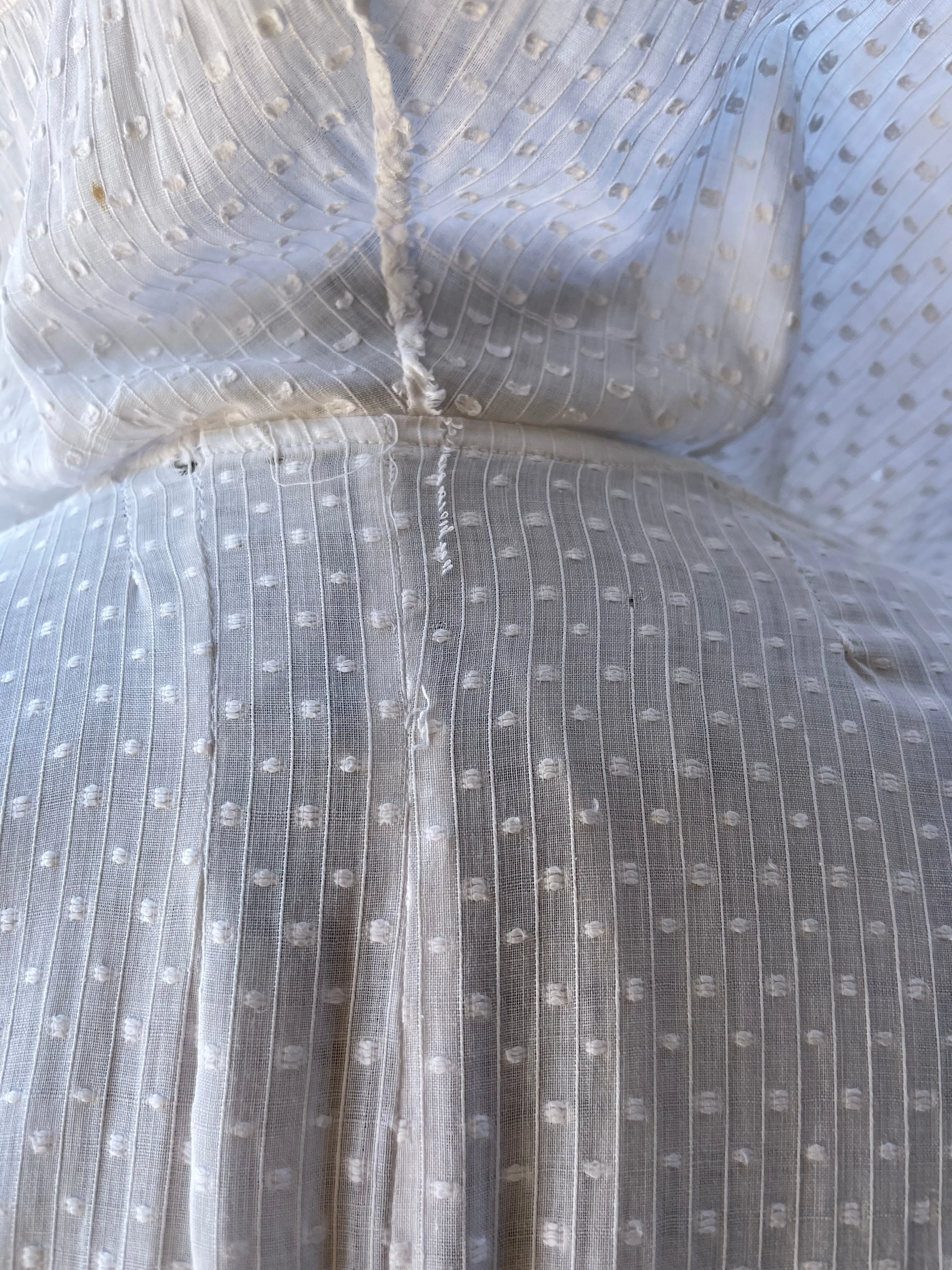 Antique Bell Epoque 1890s Cotton Swiss Dot Trained Peignoir