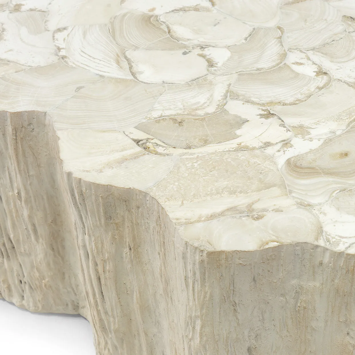Camilla Fossilized Clam Coffee Table