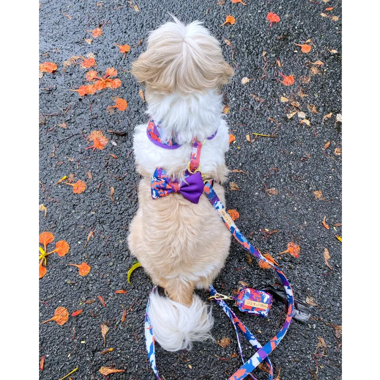 CamoDogz- Adjustable Dog Harness - FINAL SALE