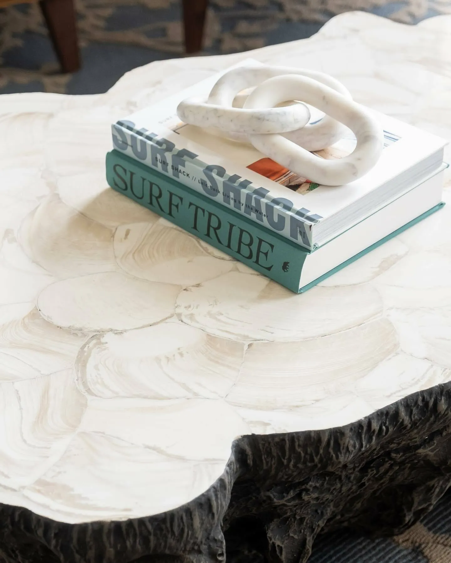 Chloe Fossil Clam Lava Coffee Table