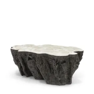 Chloe Fossil Clam Lava Coffee Table