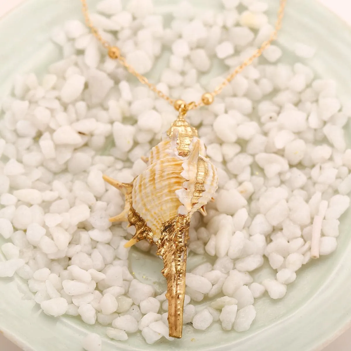 Conch Shell & 18K Gold-Plated Station Pendant Necklace