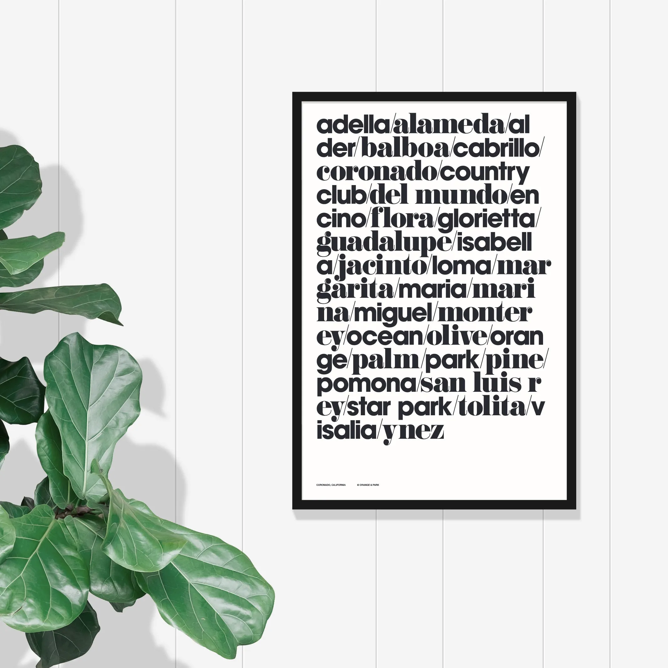 Coronado Streets Print
