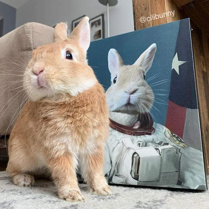 Custom Crown & Paw Portrait - One Pet