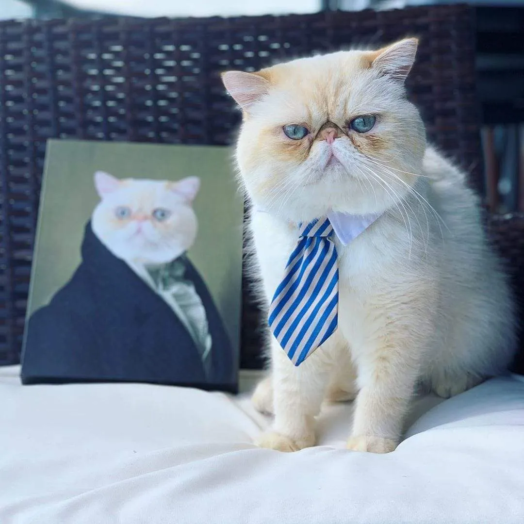 Custom Crown & Paw Portrait - One Pet