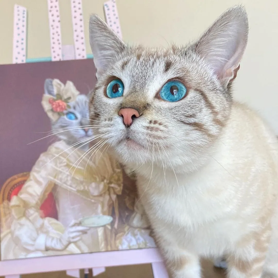 Custom Crown & Paw Portrait - One Pet