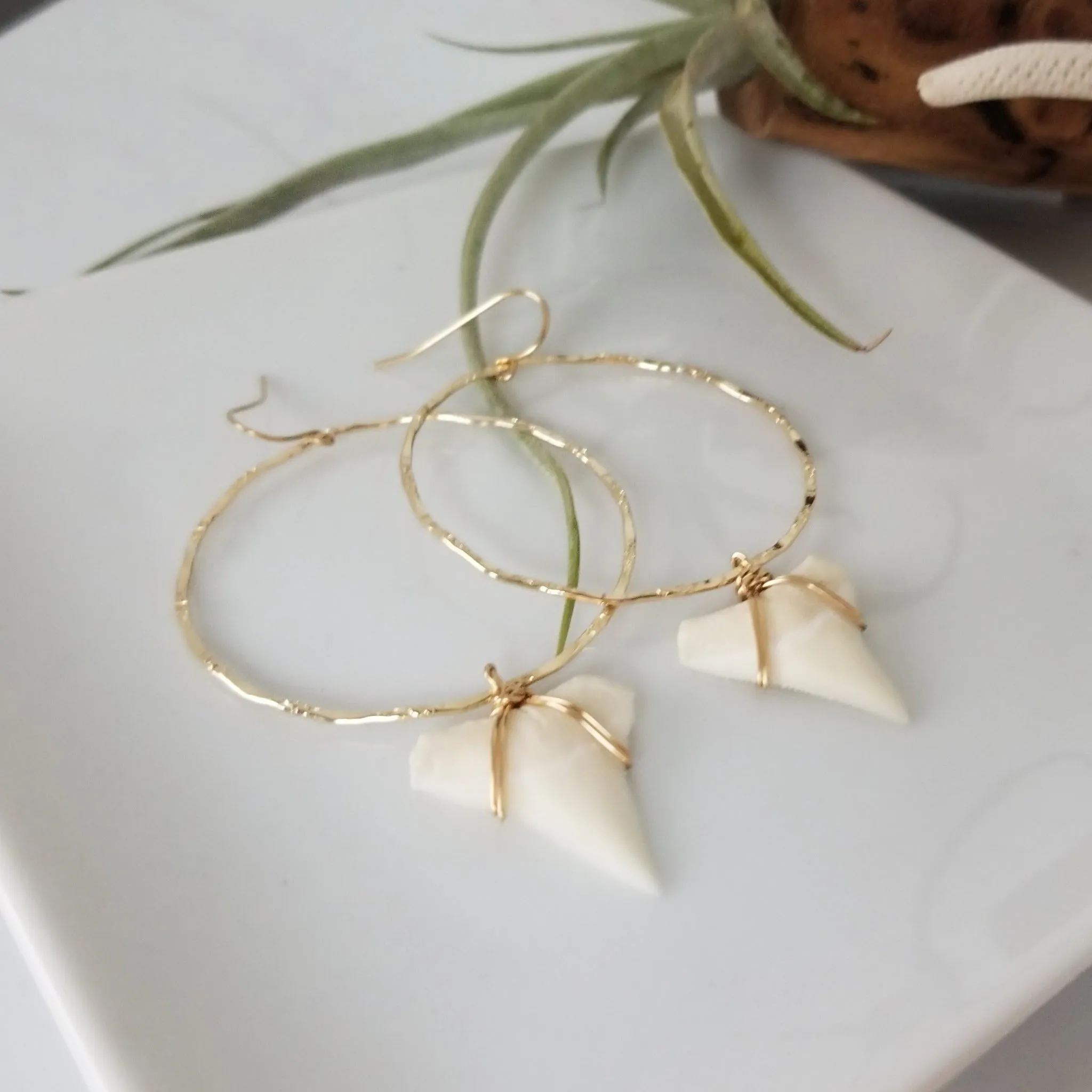 Drop Hoop Shark Tooth Charm Earrings - Sterling or Gold