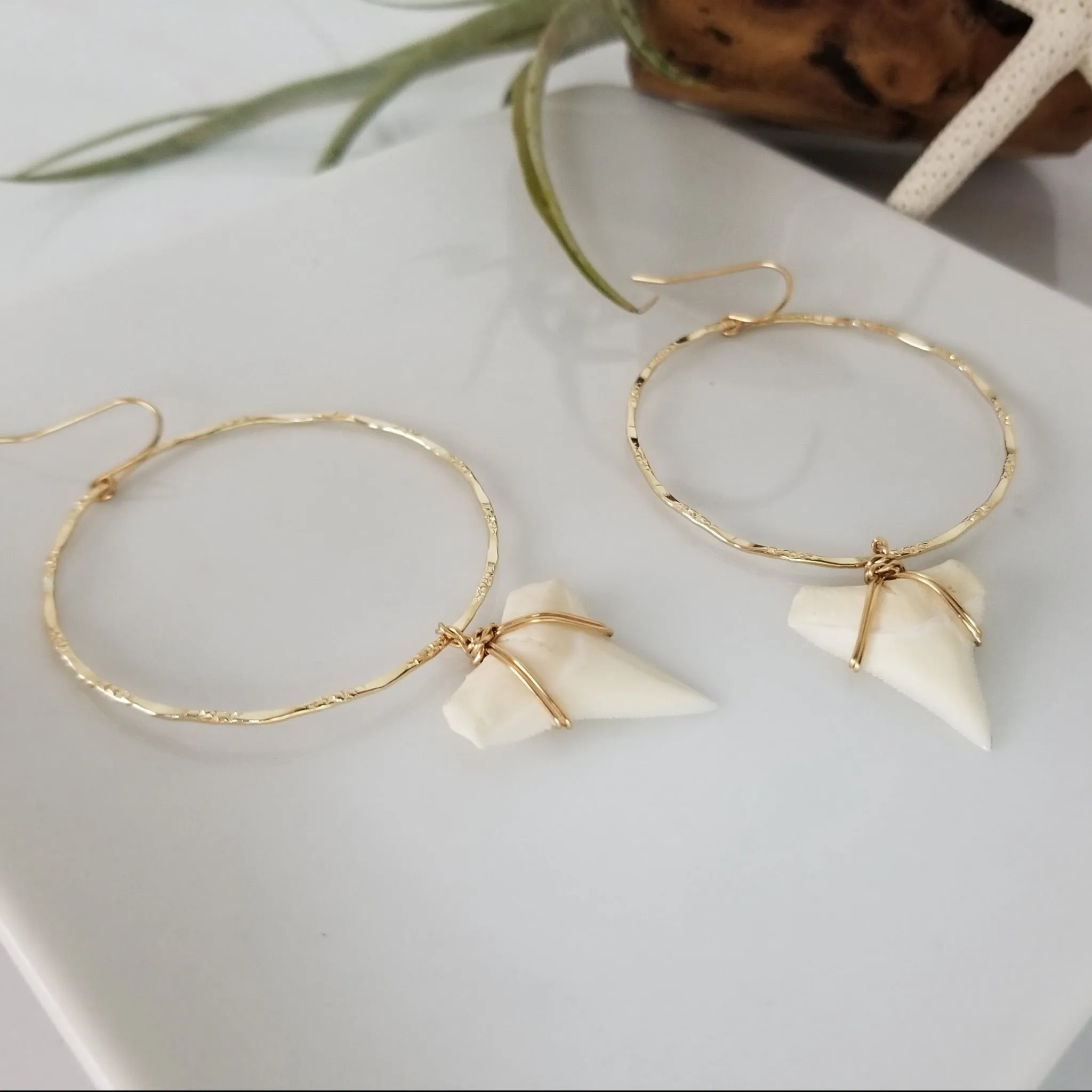 Drop Hoop Shark Tooth Charm Earrings - Sterling or Gold