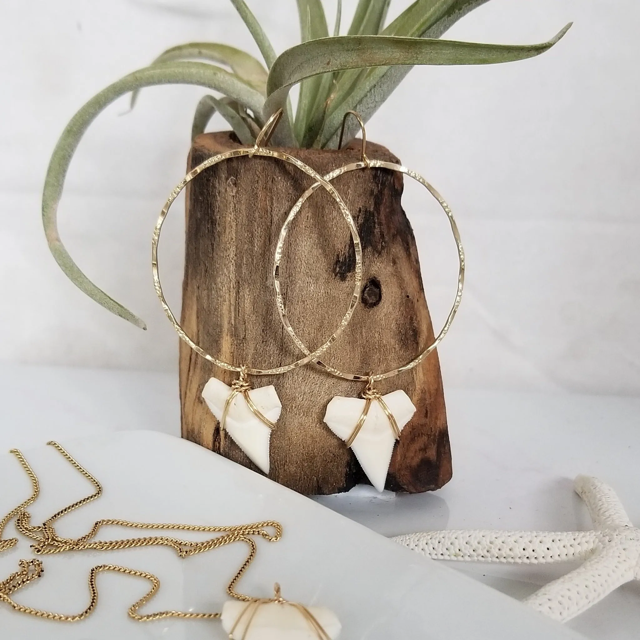 Drop Hoop Shark Tooth Charm Earrings - Sterling or Gold