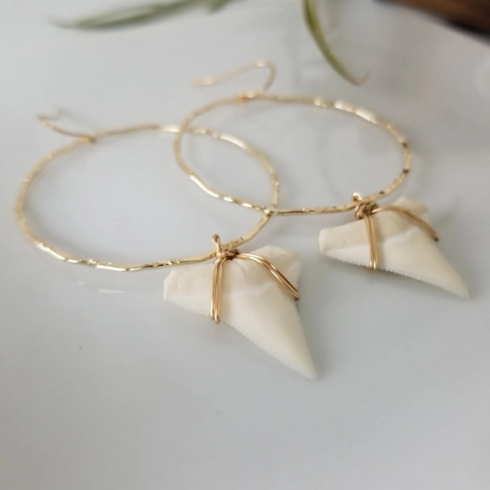 Drop Hoop Shark Tooth Charm Earrings - Sterling or Gold