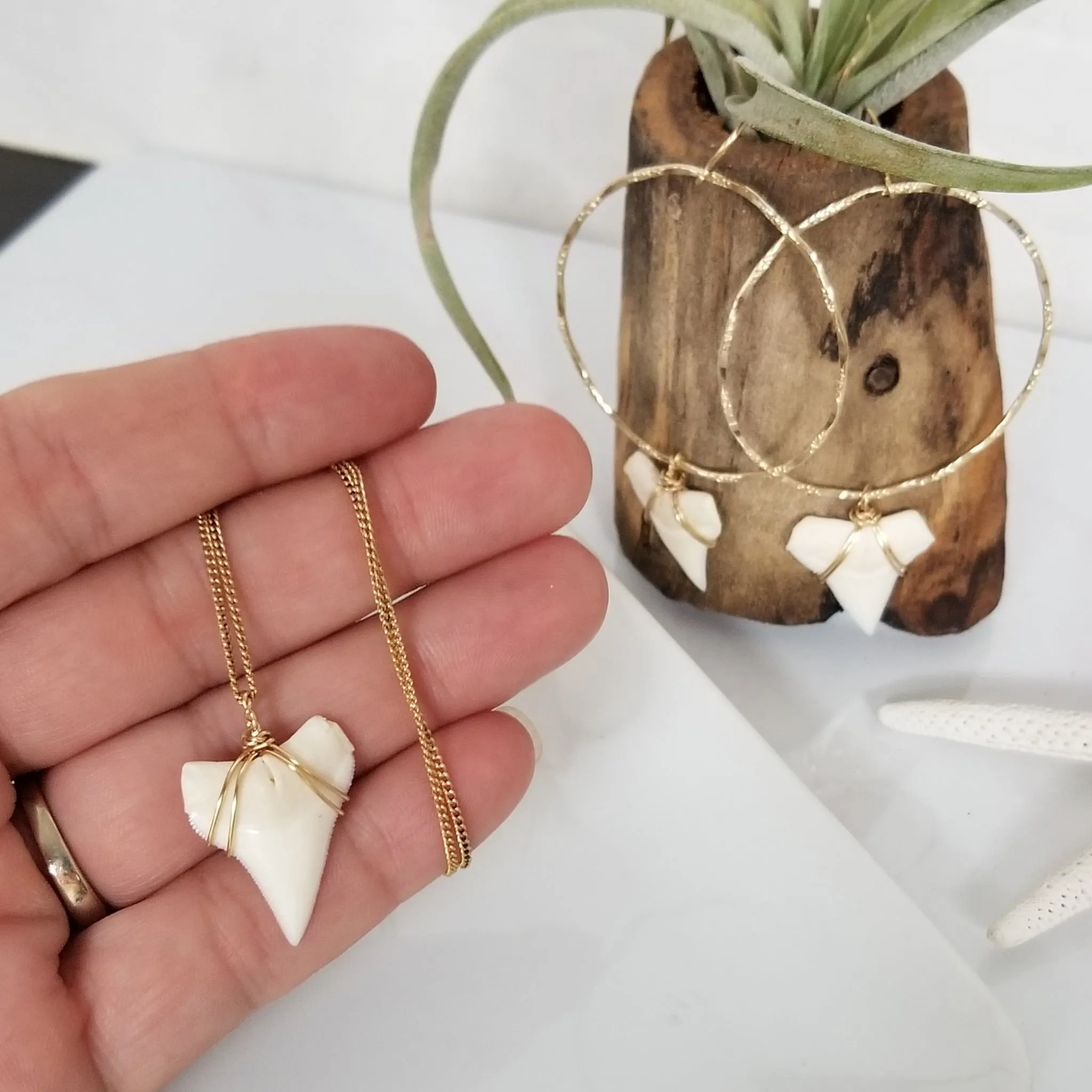 Drop Hoop Shark Tooth Charm Earrings - Sterling or Gold