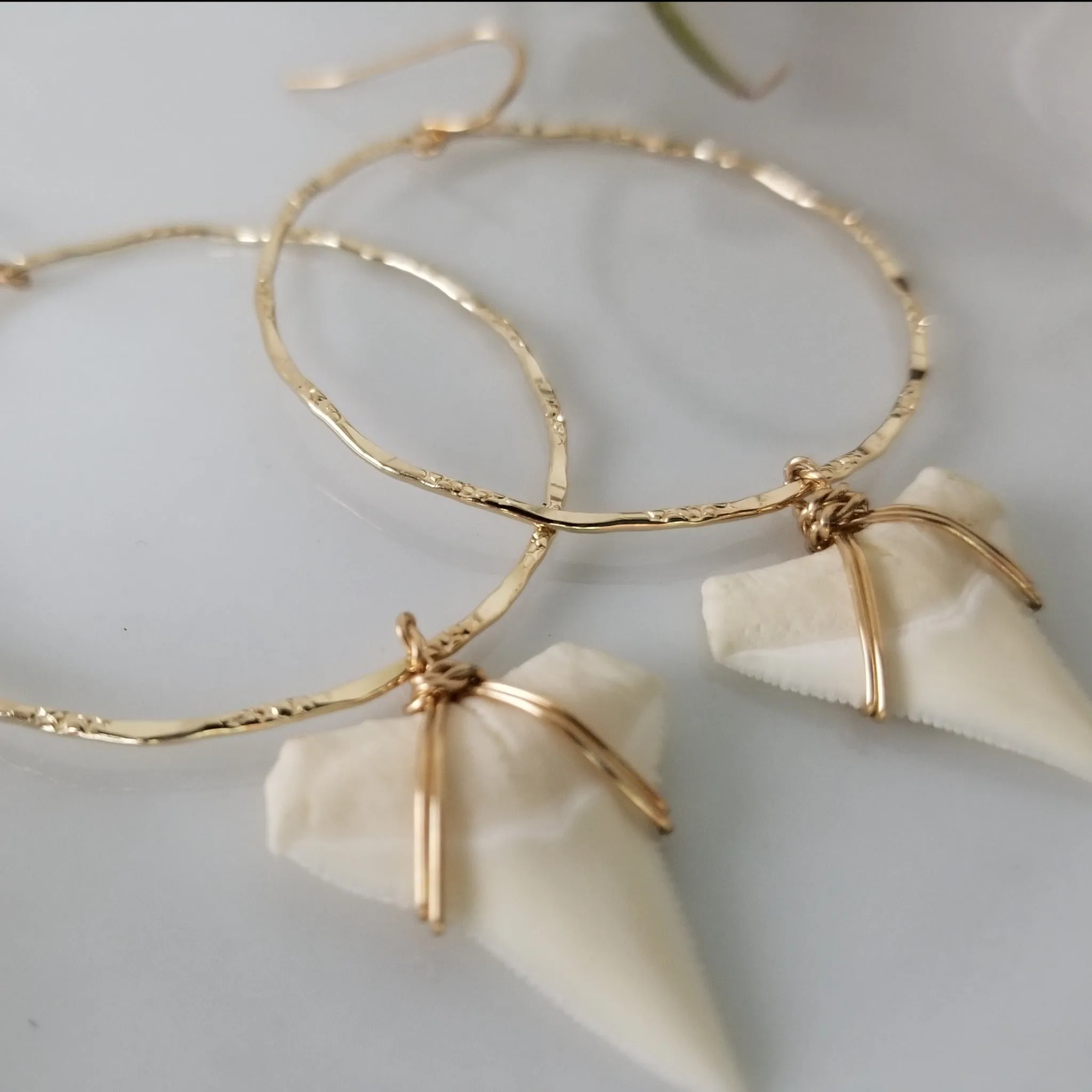Drop Hoop Shark Tooth Charm Earrings - Sterling or Gold