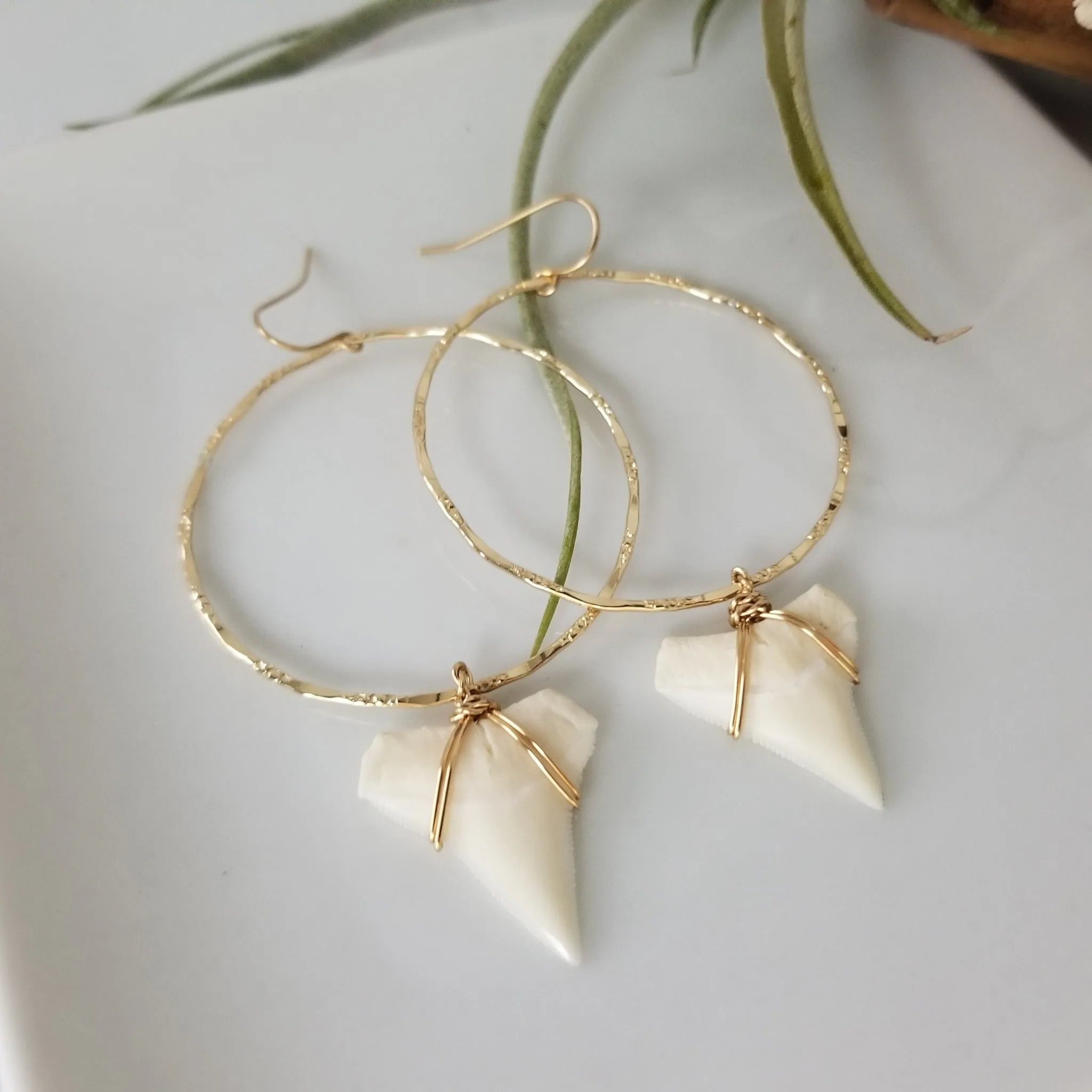 Drop Hoop Shark Tooth Charm Earrings - Sterling or Gold