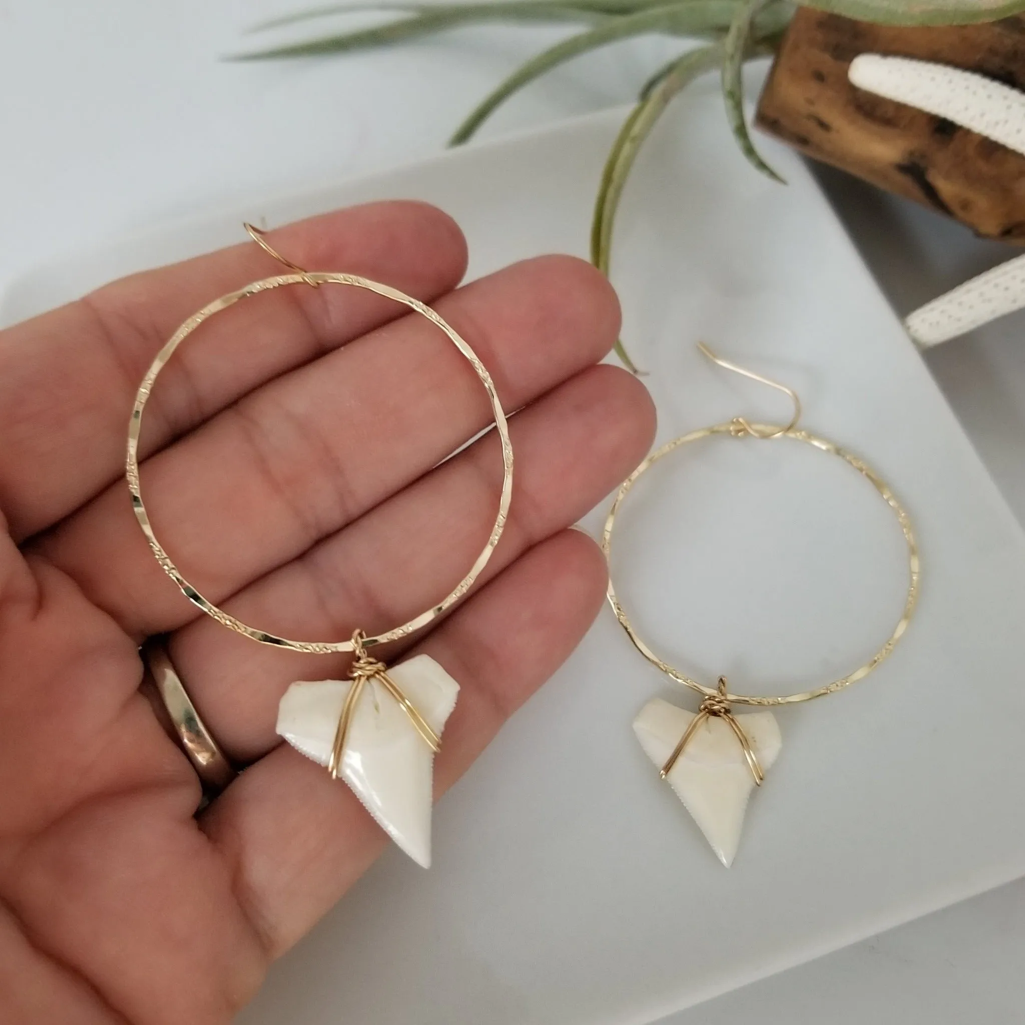 Drop Hoop Shark Tooth Charm Earrings - Sterling or Gold