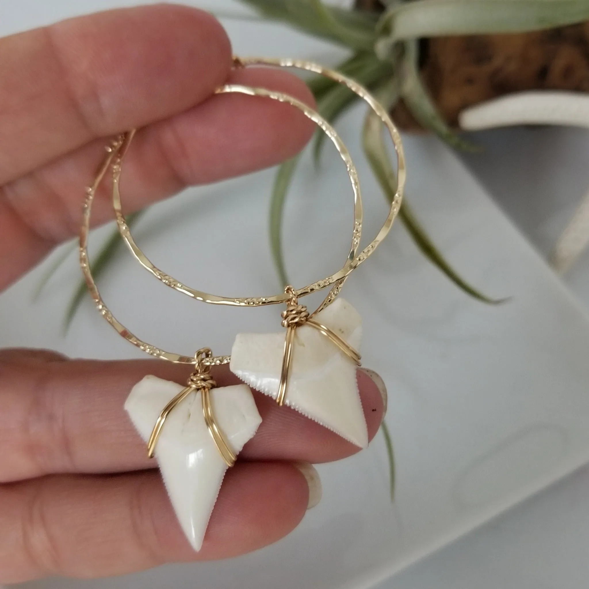 Drop Hoop Shark Tooth Charm Earrings - Sterling or Gold