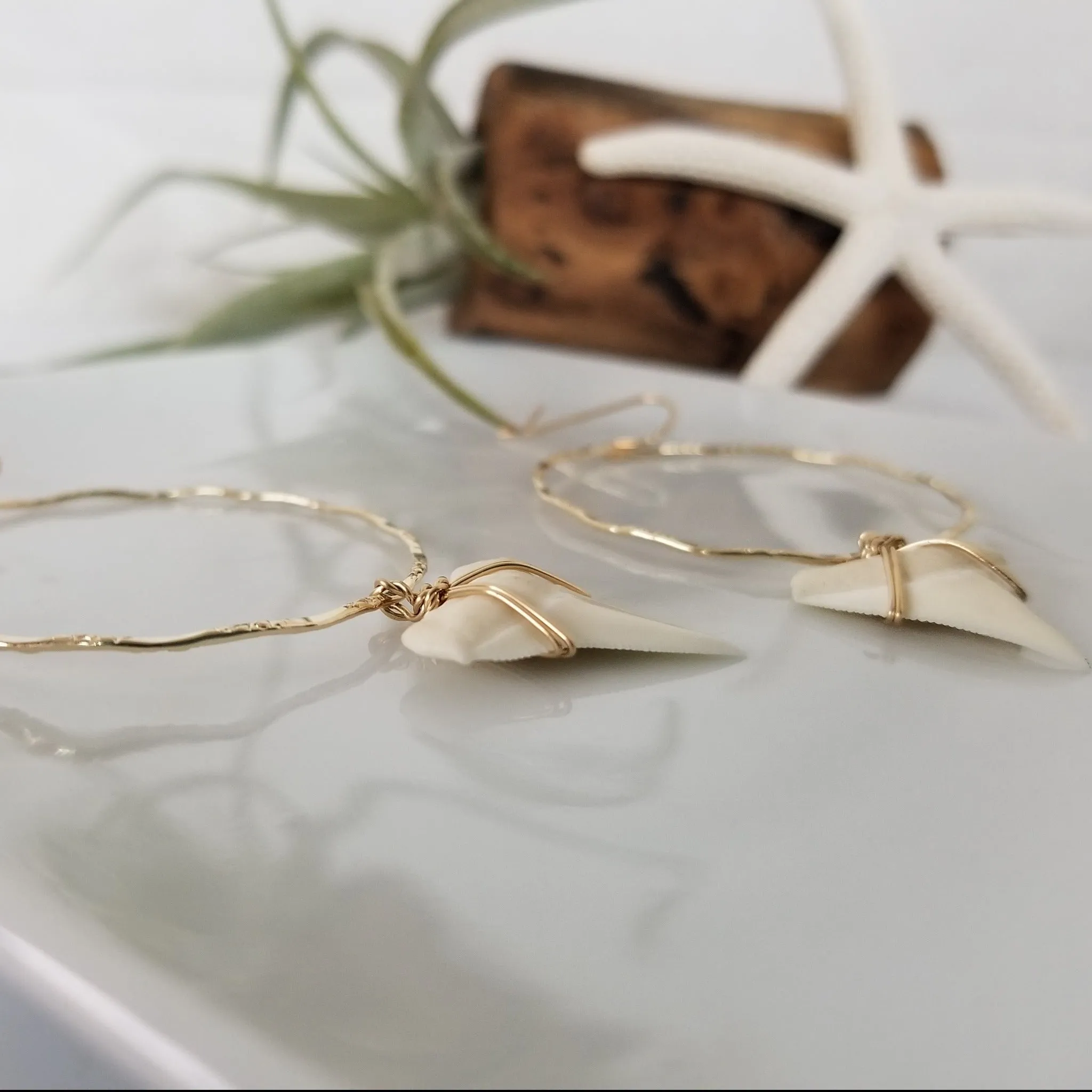 Drop Hoop Shark Tooth Charm Earrings - Sterling or Gold