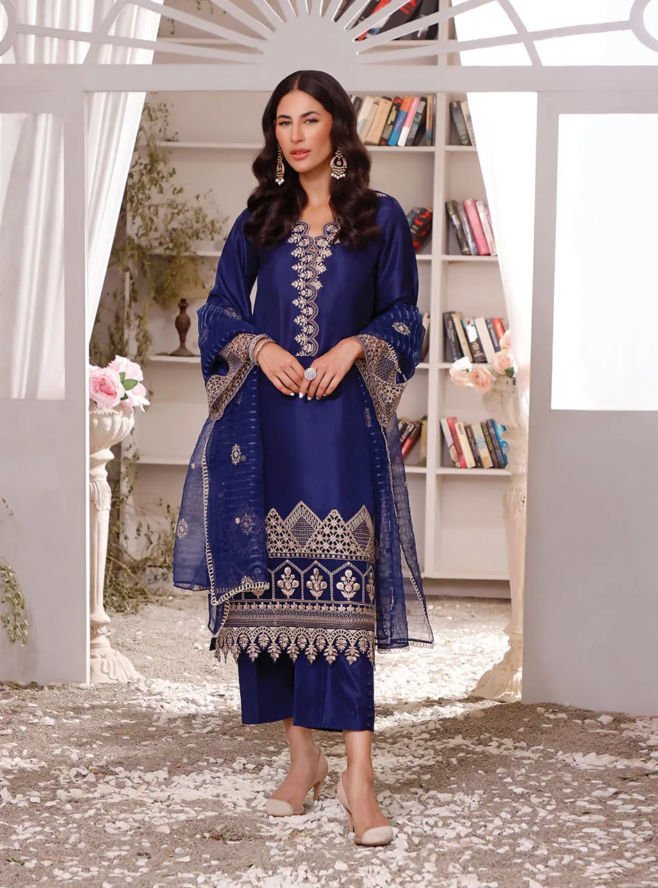 Elegant Raw Silk Blue Salwar Kameez Pakistani Eid Dress