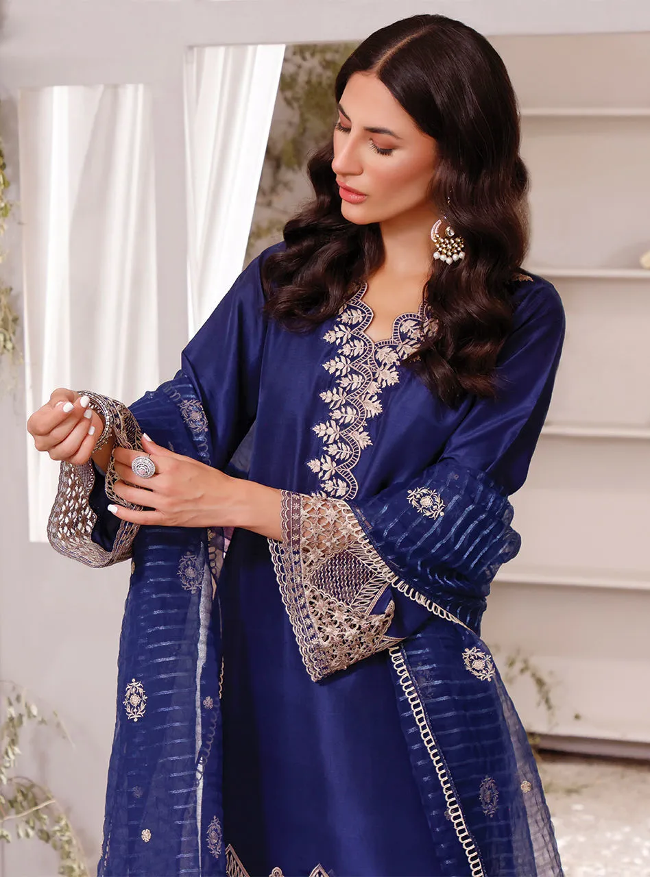 Elegant Raw Silk Blue Salwar Kameez Pakistani Eid Dress