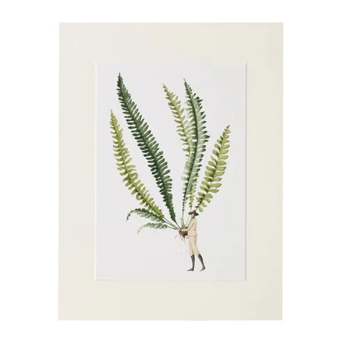Fabulous Ferns - Fern Print 1