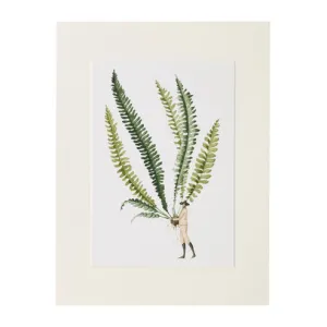 Fabulous Ferns - Fern Print 1