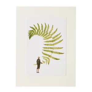 Fabulous Ferns - Fern Print 5