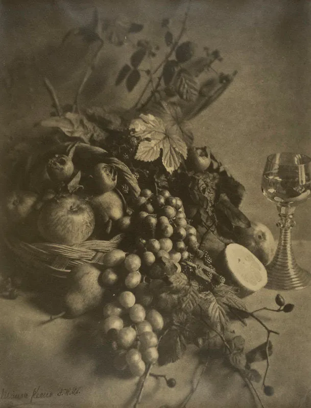 Fruit Study
