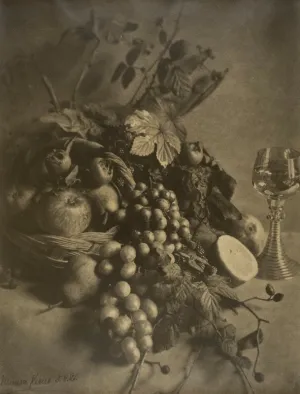 Fruit Study