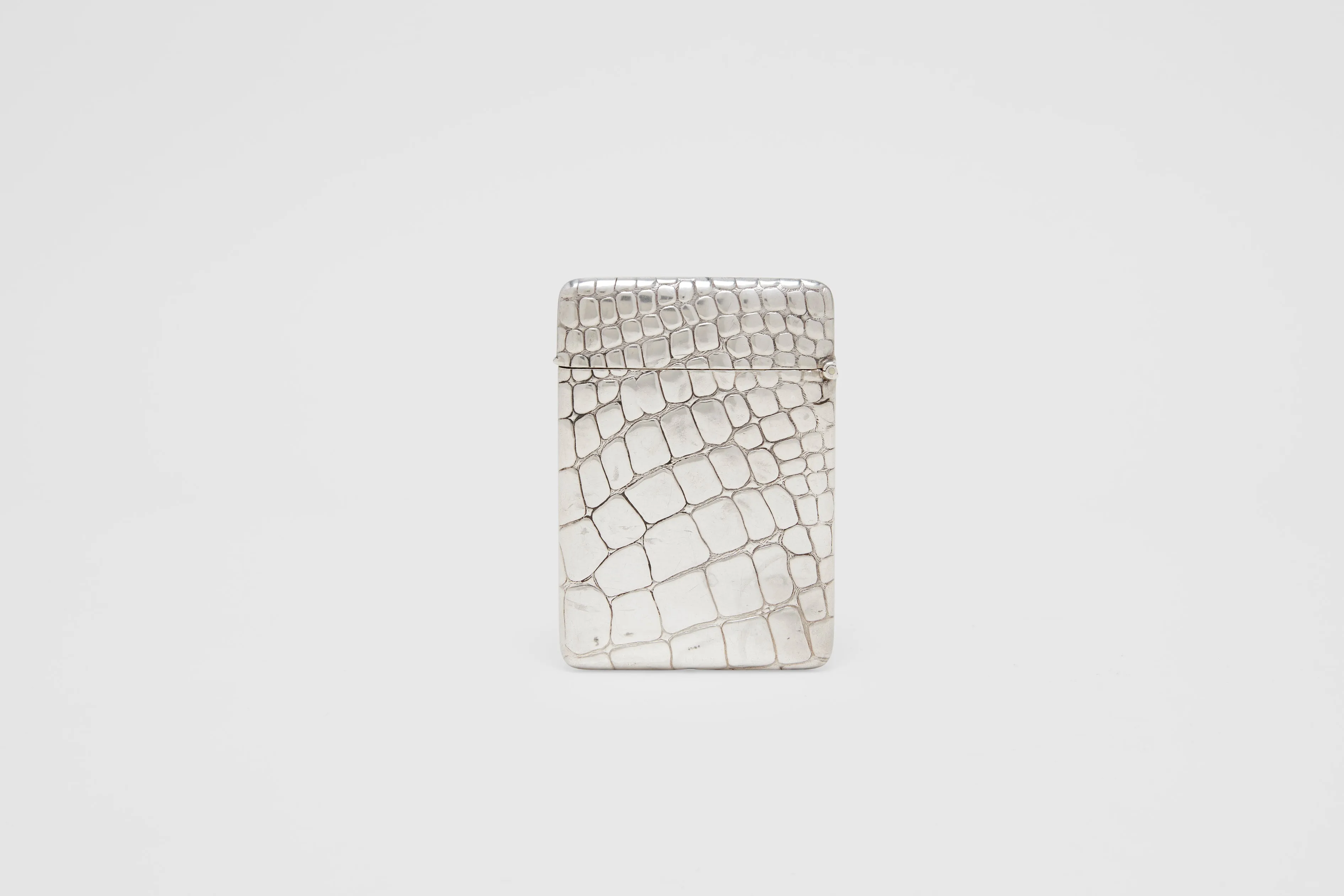 Hinged Alligator Print Card Case