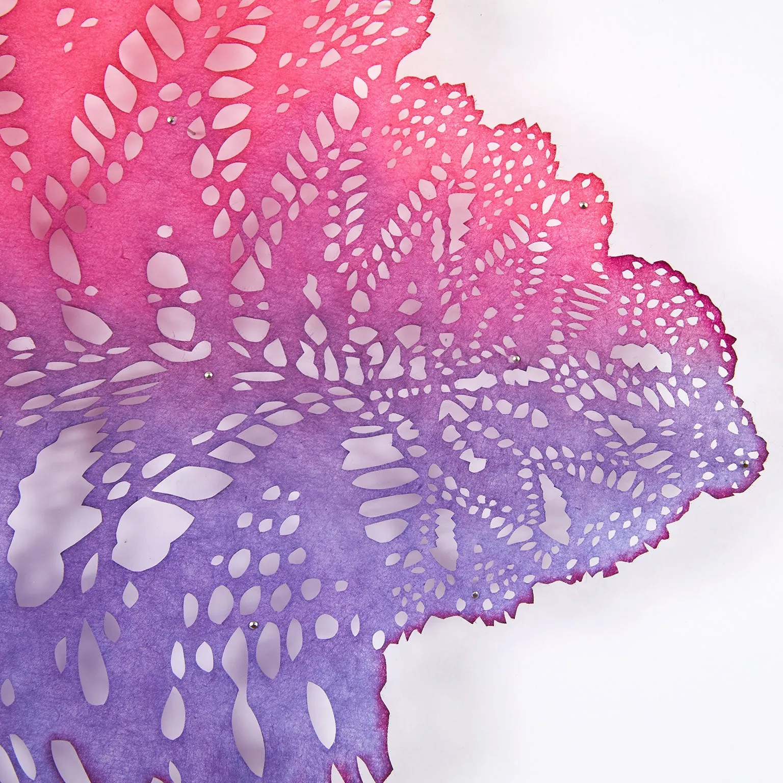 LIZZ ASTON "ZINNIA ELEGANS" 2020