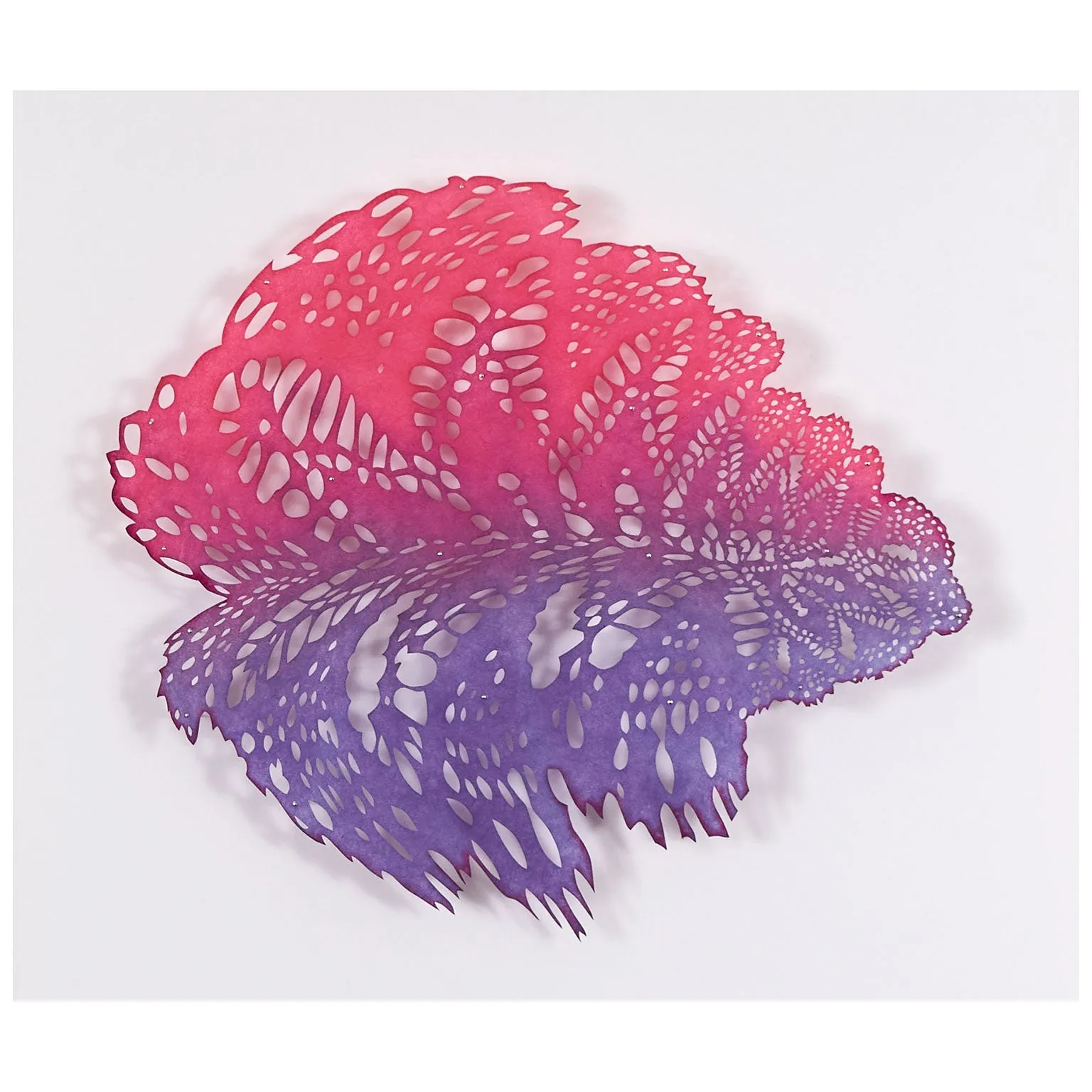 LIZZ ASTON "ZINNIA ELEGANS" 2020
