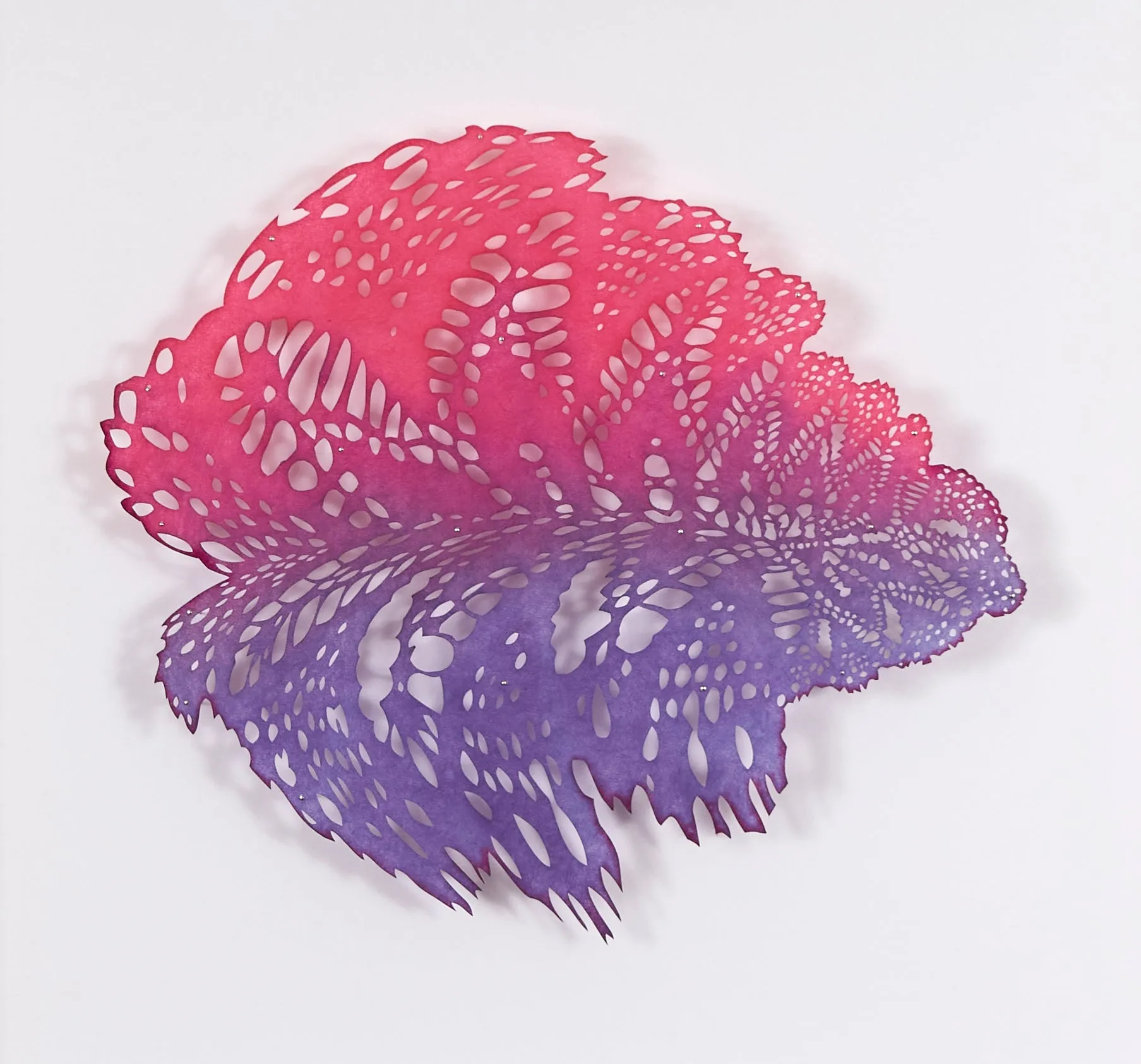 LIZZ ASTON "ZINNIA ELEGANS" 2020