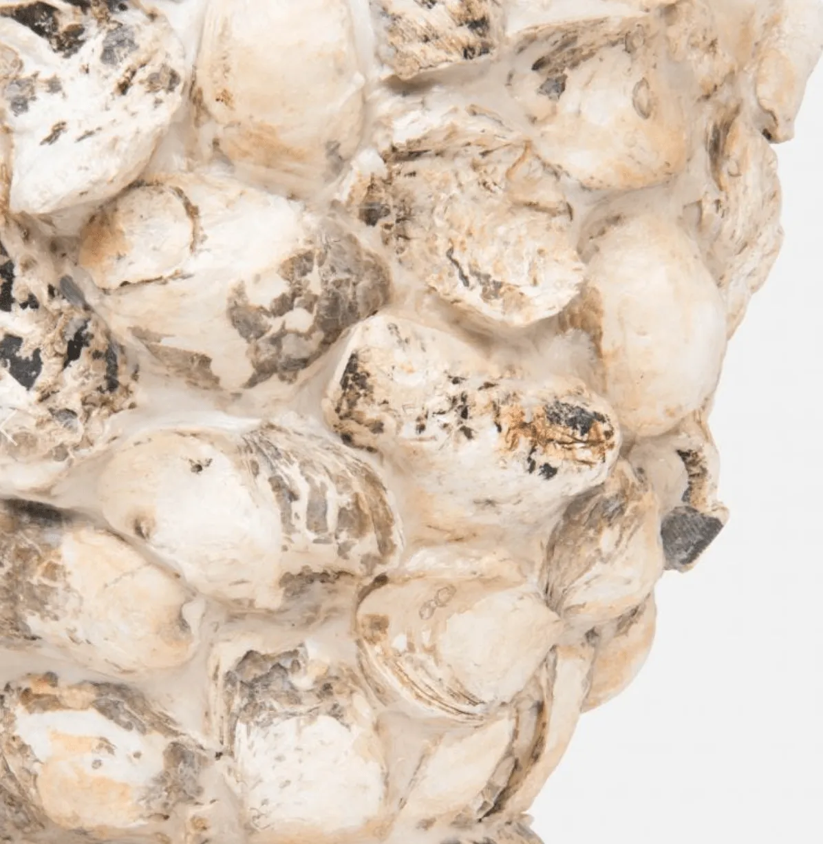 Maribel Oyster Shell  Lamp