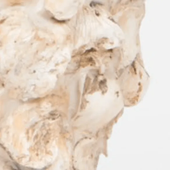 Maribel Oyster Shell  Lamp