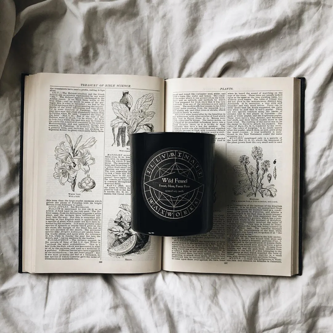 NO I. WILD FENNEL SCENTED CANDLE