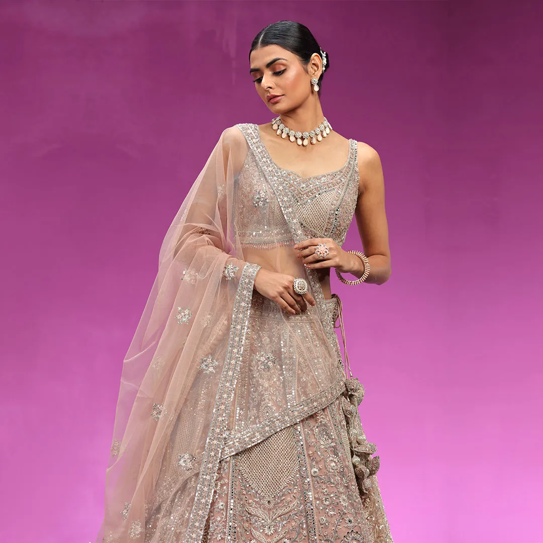 Onion Pink Embellished Lehenga Choli Set