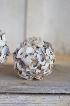 Oyster Shell Sphere (Pack of 4)