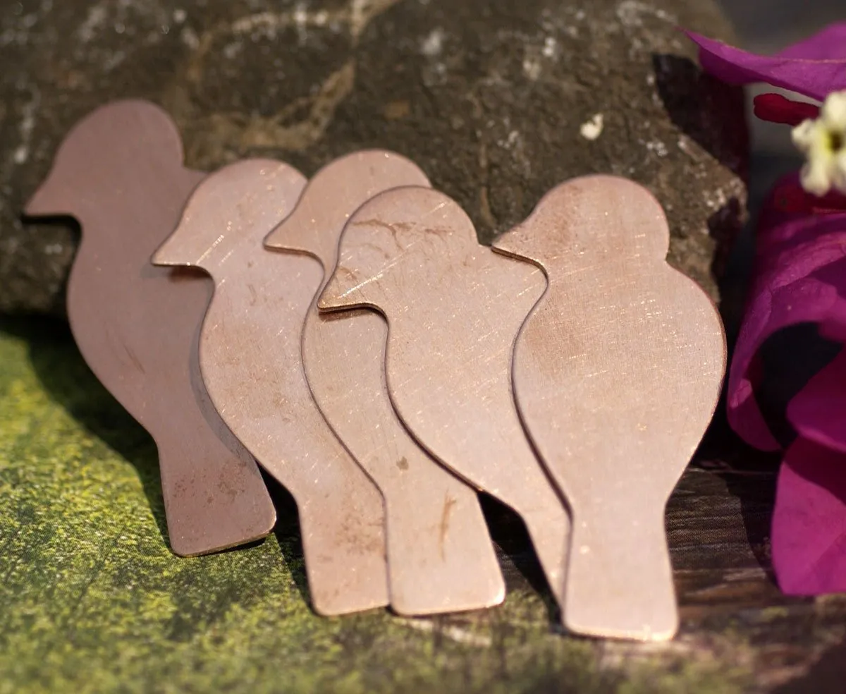 Perched Bird Paisley Textured 24g Blanks for Metalworking Enameling Stamping Texturing Variety of Metals