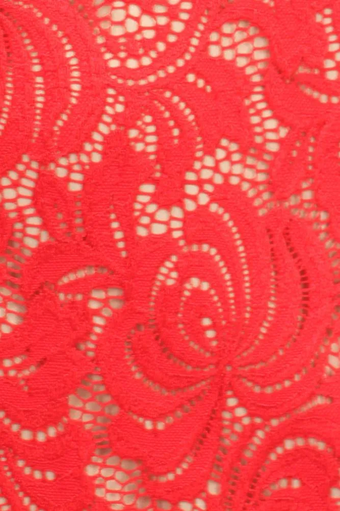 Plus Size Pretty Victorian Lace Dress