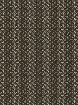 Pointillism - Pecan