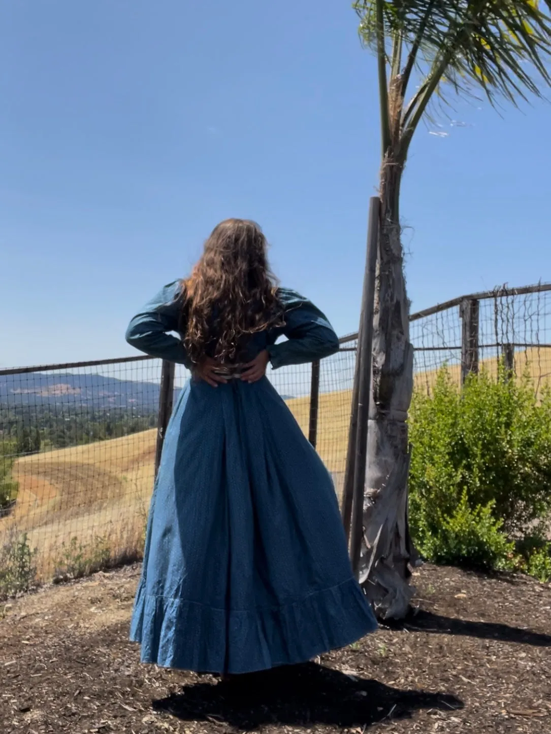 Rare 1890s-1900s Indigo Calico Wrapper Prairie Dress