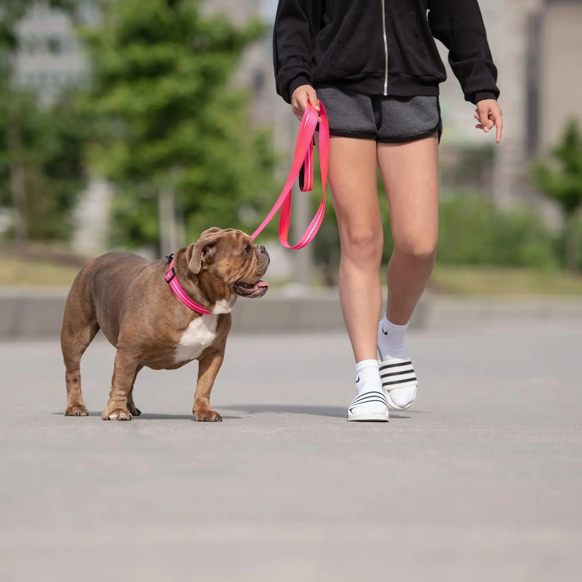 Reflective Dog Collar | Neon Pink