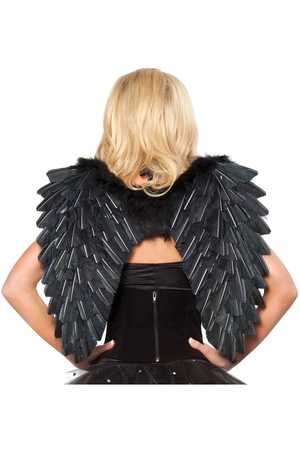 Roma Feather Wings