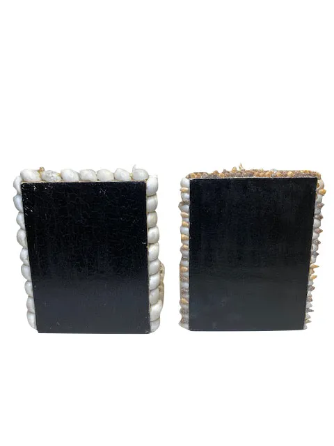 Shell Bookends