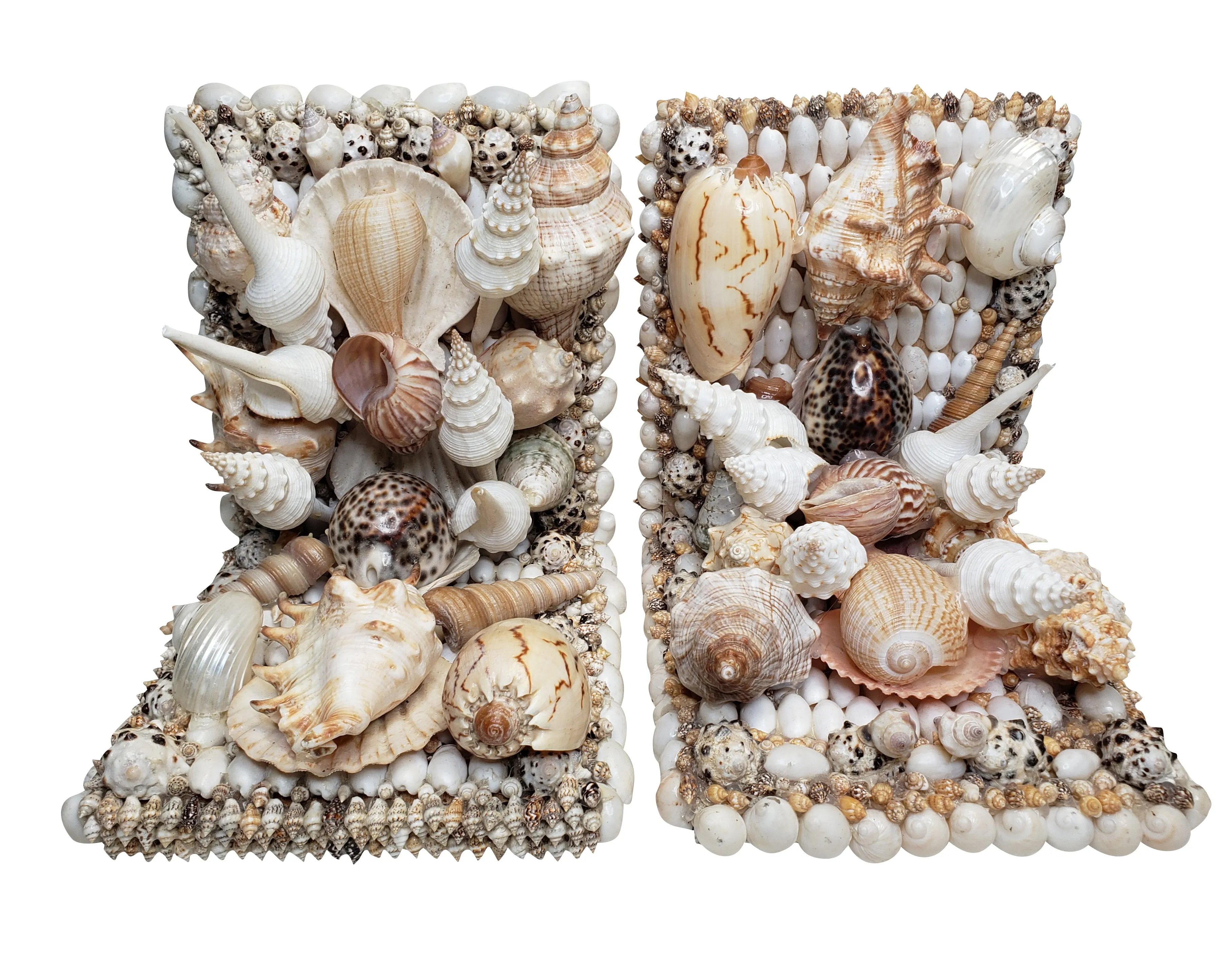 Shell Bookends