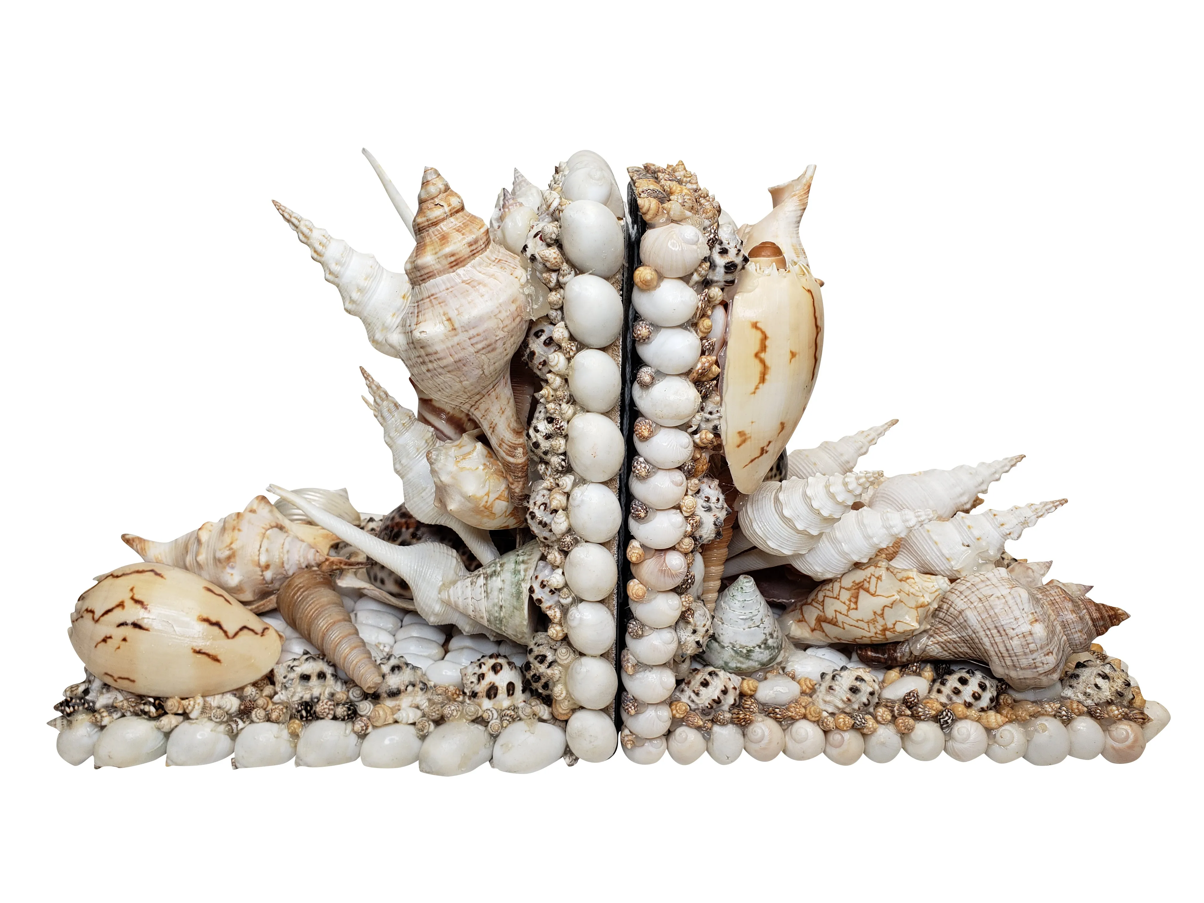 Shell Bookends