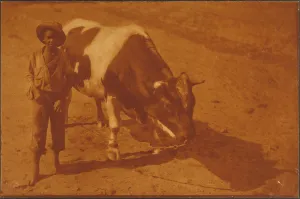 The Boy and the Bull